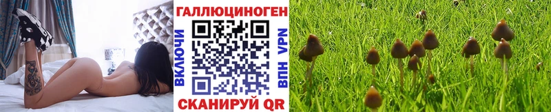 Псилоцибиновые грибы MAGIC MUSHROOMS Тында